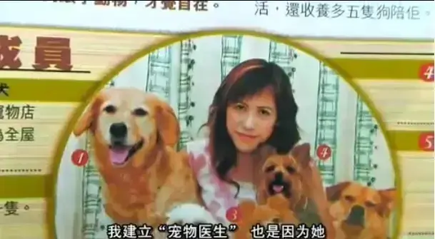 《女人与狗》未删减版全集资源在线看-欧美电影女人与狗HD高清中字-免费播放无缓冲网盘资源