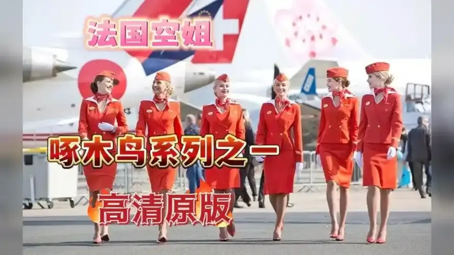 《法国空姐》《法国空姐2》相关资源图片