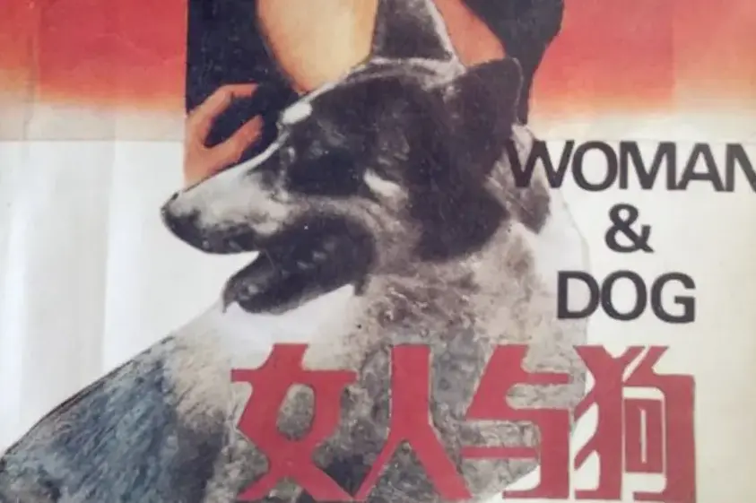 《女人与狗》全片无删减在线观看-欧美电影《女人与狗》1080P蓝光高清免费播放-中文字幕无广告流畅体验