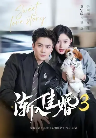 渐入佳婚3全集无删减版在线高清观看-渐入佳婚3全集免费播放-高清1080P无广告完整版资源