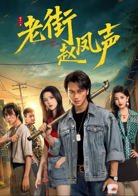 《老街赵凤声》全季完整版-《老街赵凤声》HD高清无广告在线看-跟随赵凤声，体验最真实的老街江湖与兄弟情义