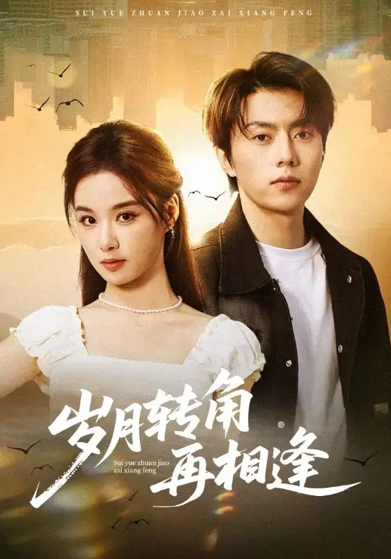 《岁月转角再相逢》无广告免费观看-1080P高清画质全集-张磊王宇婧主演都市情感剧-《岁月转角再相逢》在线播放