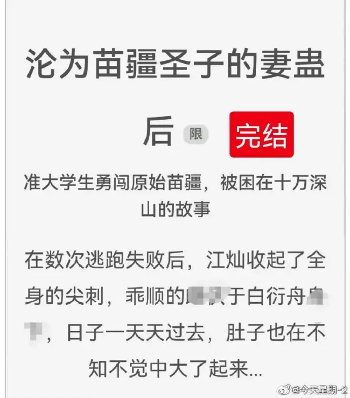 《沦为苗疆圣子的妻蛊后》狐狸雨小说全文免费阅读txt下载 - 沦为苗疆圣子的妻蛊后全集无删减完整版在线看 - 小说资源分享推荐收藏