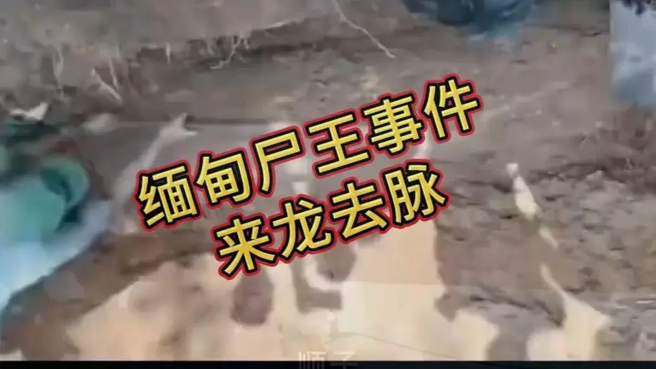《缅甸僵尸出土事件视频》高清资源下载-完整版在线观看免费播放-超清未删减全程录像